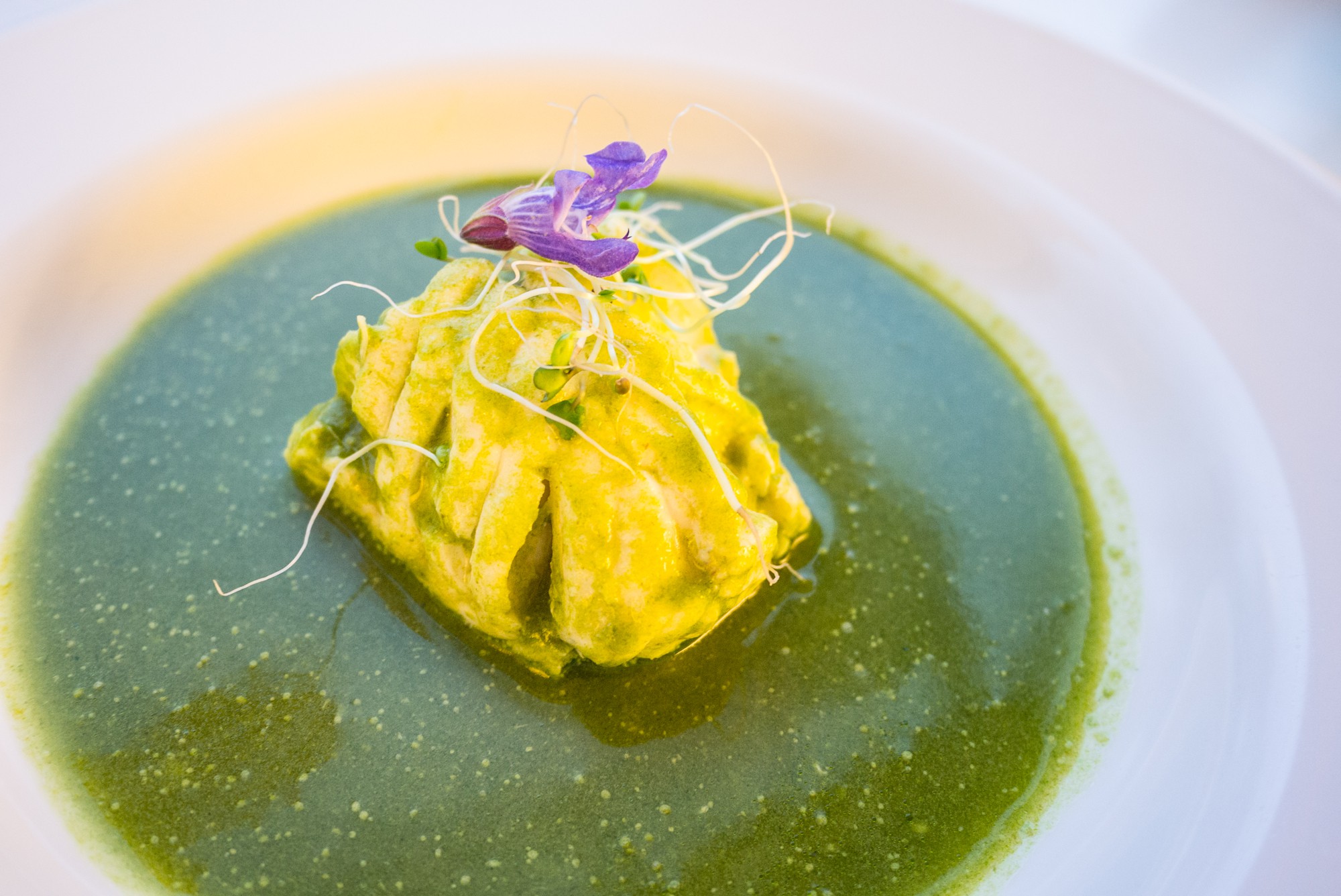 Monkfish in Salsa Muy Verde, Broccoli micro-sprouts & Sage flower